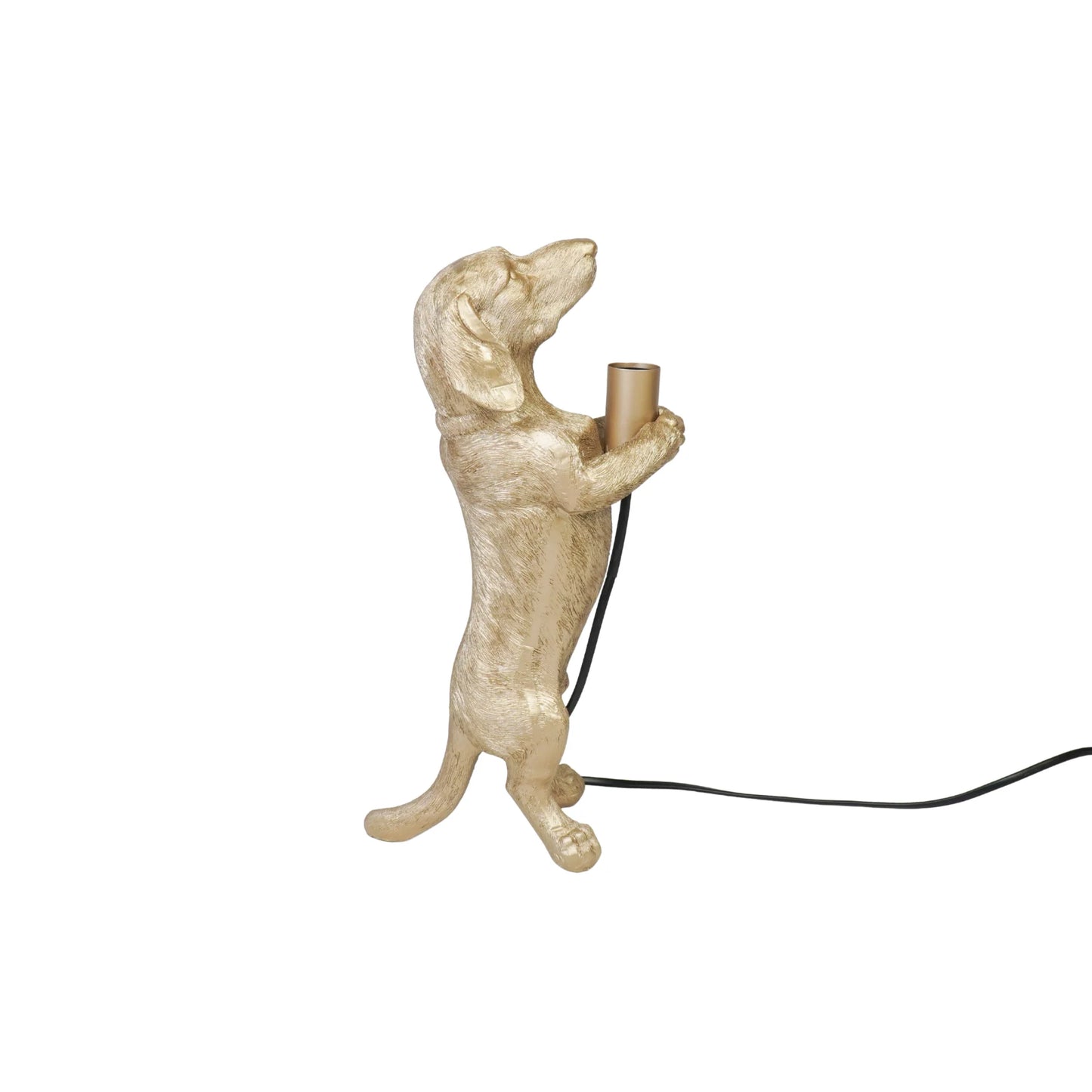 TULOSSA UUTUUS VARASTOON Mäyräkoira-pöytävalaisin, Kultainen