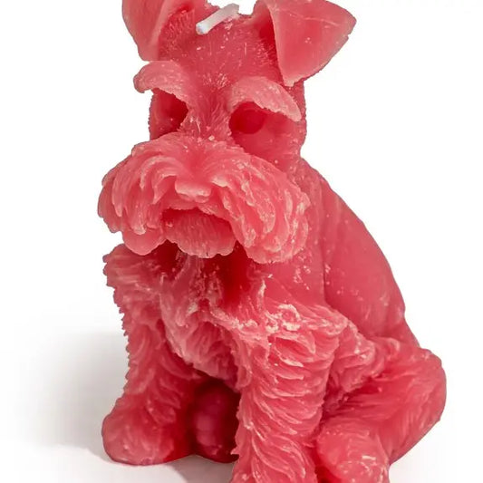 Snautseri - kynttilä pinkki