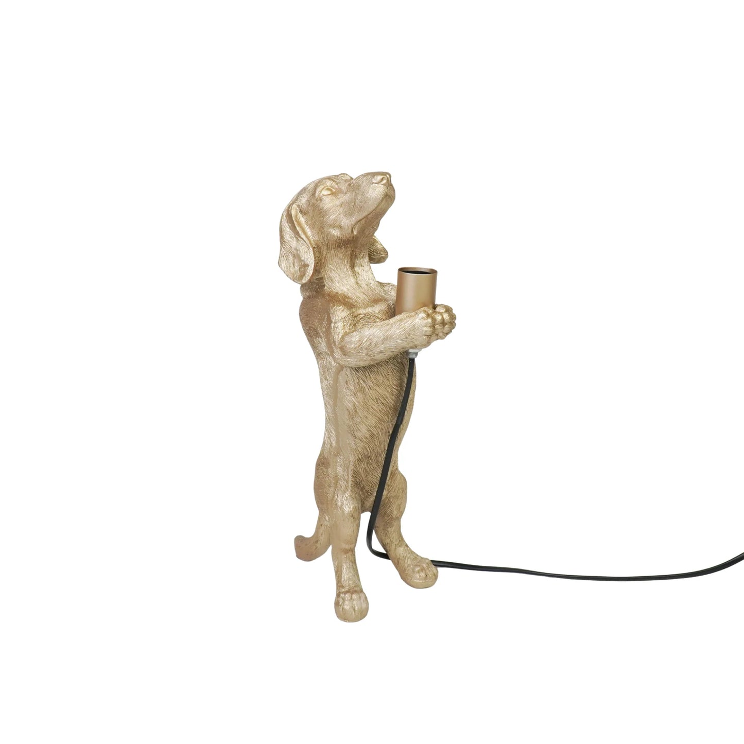 TULOSSA UUTUUS VARASTOON Mäyräkoira-pöytävalaisin, Kultainen