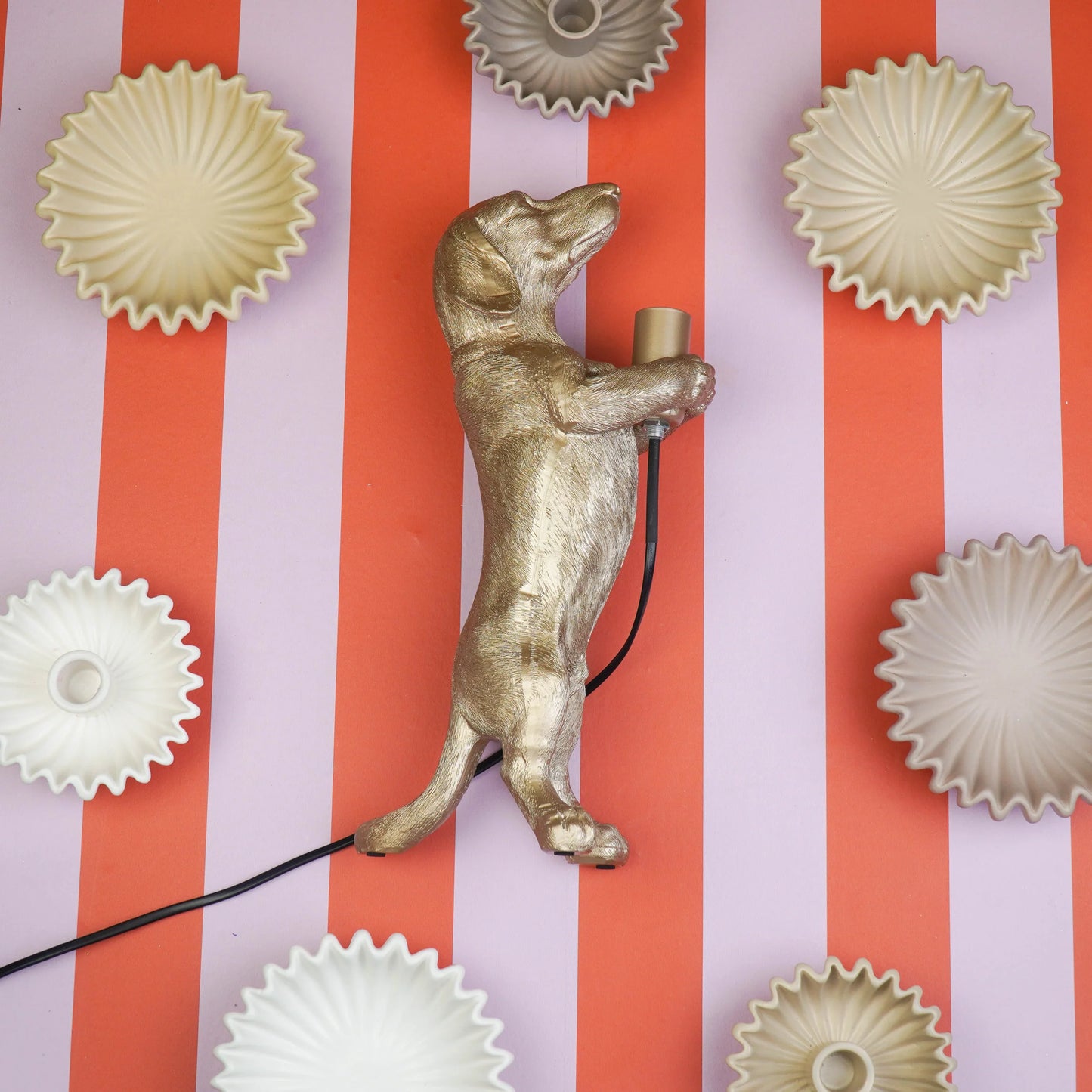 TULOSSA UUTUUS VARASTOON Mäyräkoira-pöytävalaisin, Kultainen