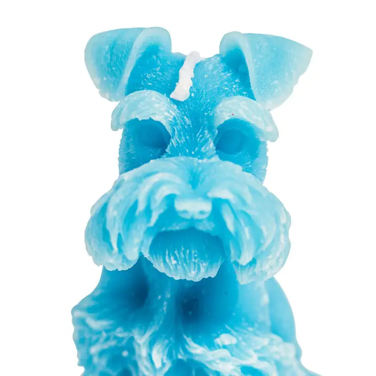 Snautseri - kynttilä sininen