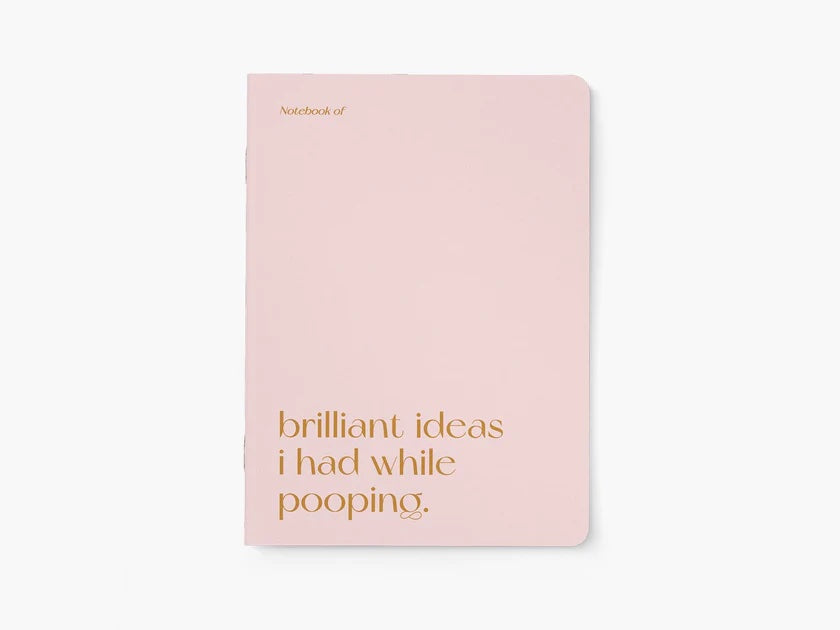 Notebook, Brilliant ideas I had while pooping