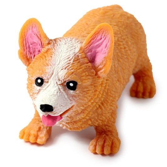 Venyvä Corgi