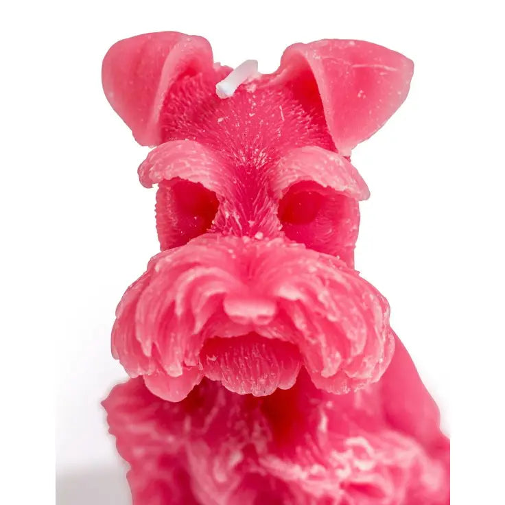 Snautseri - kynttilä pinkki