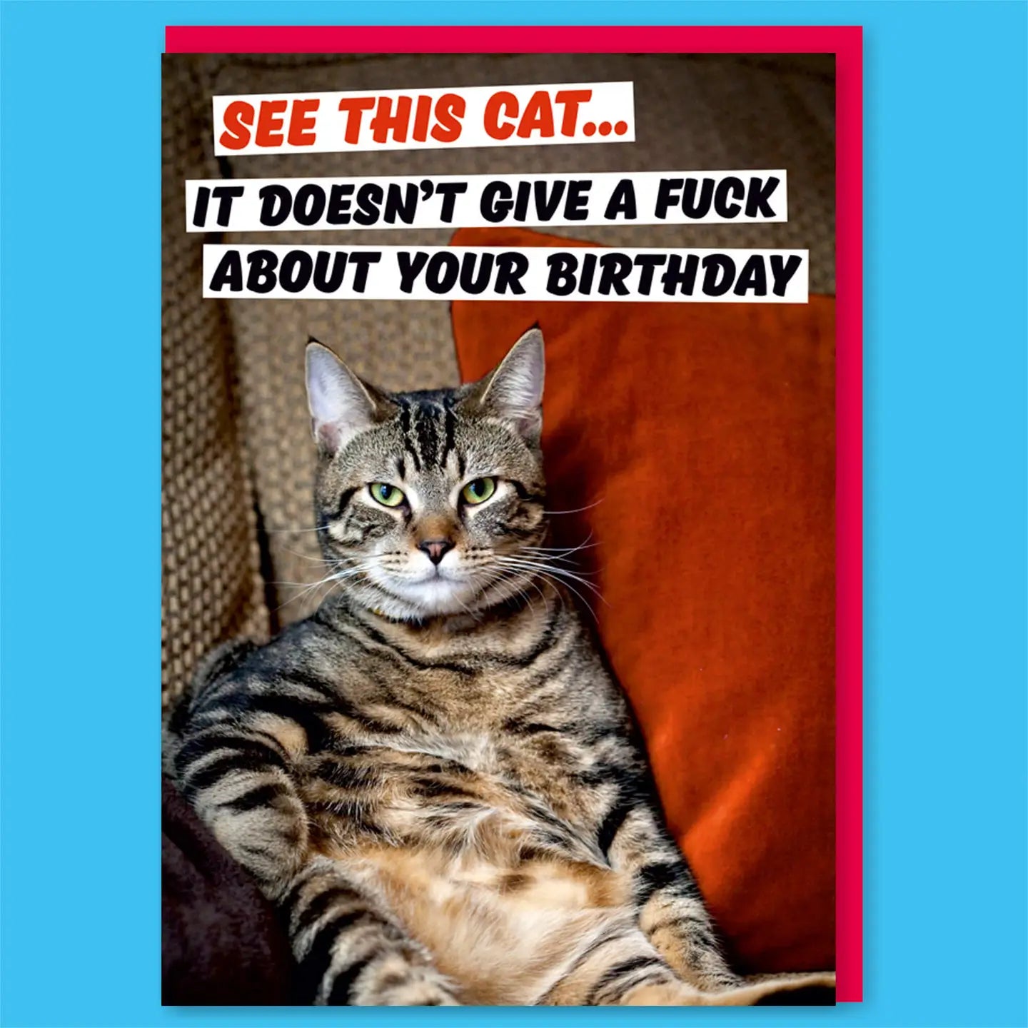 Dean Morris kortti - See This Cat